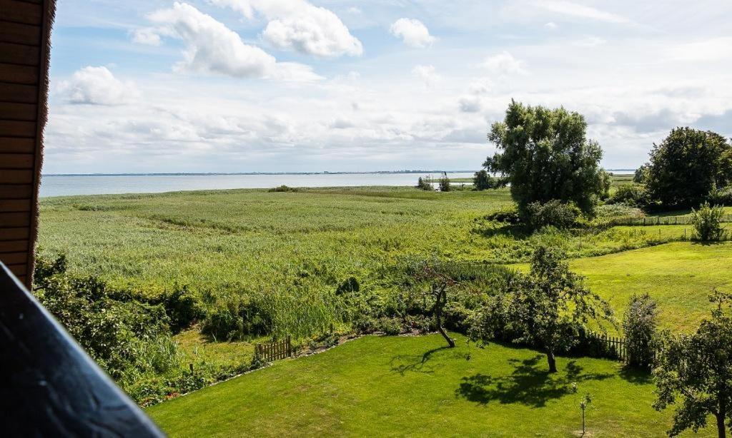 Haus Am Bodden 03 Appartement Ahrenshoop Buitenkant foto